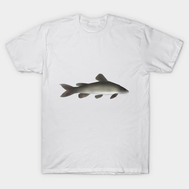 Golden Nile Catfish T-Shirt by FishFolkArt